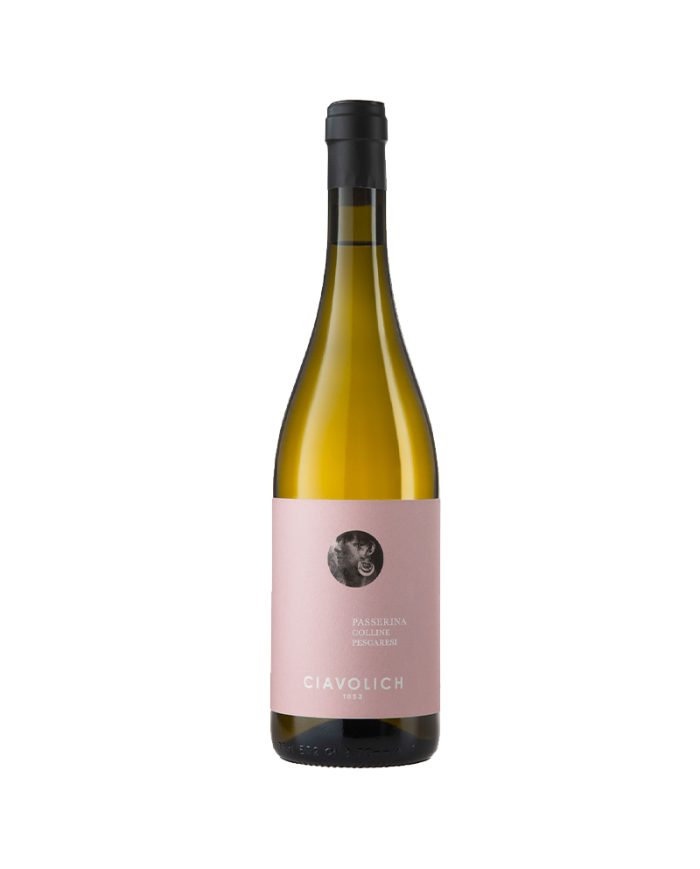 Vini Bianchi  Passerina Colline Pescaresi IGP 2020 - Ciavolich 9,84 â‚¬ Vini Bianchi  Passerina Colline Pescaresi IGP 2020 - Ciavolich 9,84 â‚¬