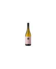 Vini Bianchi  Passerina Colline Pescaresi IGP 2020 - Ciavolich 9,84 â‚¬ Vini Bianchi  Passerina Colline Pescaresi IGP 2020 - Ciavolich 9,84 â‚¬