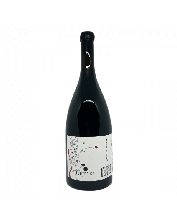 Rode wijnen  Cocca di Casa Montepulciano d'Abruzzo DOC 2019 Magnum - Fontefico 36,89 â‚¬ Rode wijnen  Cocca di Casa Montepulciano d'Abruzzo DOC 2019 Magnum - Fontefico 36,89 â‚¬
