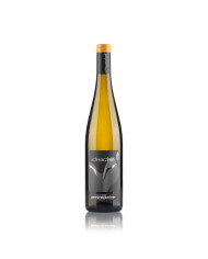 White wines  Gewurztraminer Schwarzhof Trentino DOC 2020 Bio Magnum - Zeni 27,30 €