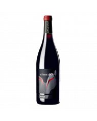 Red Wines  Ternet Schwarzhof Teroldego IGT Bio 2019 - Zeni 19,02 â‚¬ Red Wines  Ternet Schwarzhof Teroldego IGT Bio 2019 - Zeni 19,02 â‚¬