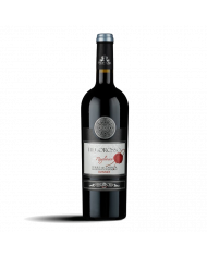 Vini Rossi  Fiego Rosso Terre di Cosenza DOP 2020 Magnum - Spadafora 18,20 €