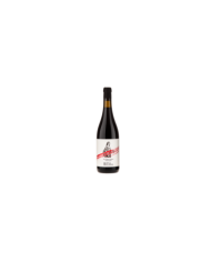 Rode wijnen  Montepulciano d’Abruzzo DOP 2019 - Giuliana Vicini 5,45 €