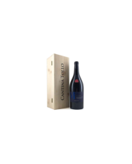 Red Wines  Mo Montepulciano D’Abruzzo Dop Riserva 2017 Magnum - Cantina Tollo 30,90 €