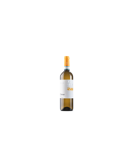 Witte Wijnen  FA’ BENE Malvasia Abruzzo DOC BIO 2021 - Fattoria Teatina 5,66 â‚¬ Witte Wijnen  FA’ BENE Malvasia Abruzzo DOC BIO 2021 - Fattoria Teatina 5,66 â‚¬