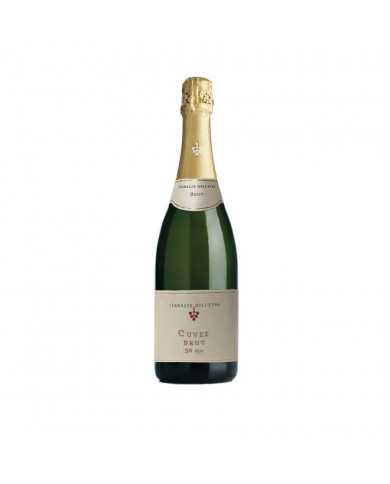 Vini Bianchi  50 Mesi Metodo Classico Cuvée Brut 2018 - Terrazze dell'Etna 37,30 € Vini Bianchi  50 Mesi Metodo Classico Cuvée Brut 2018 - Terrazze dell'Etna 37,30 €
