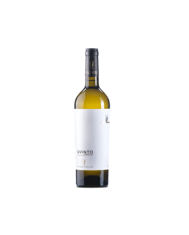 Witte Wijnen  QVINTO Pecorino IGT Colline Teatine 2020 - Fattoria Teatina 7,20 €