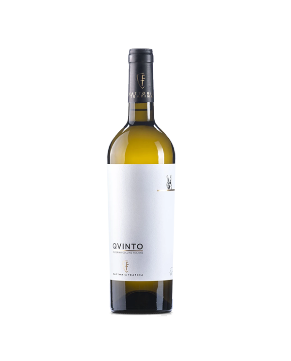 Vini Bianchi  QVINTO Pecorino IGT Colline Teatine 2020 - Fattoria Teatina 7,20 â‚¬ Vini Bianchi  QVINTO Pecorino IGT Colline Teatine 2020 - Fattoria Teatina 7,20 â‚¬