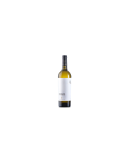 Witte Wijnen  QVINTO Pecorino IGT Colline Teatine 2020 - Fattoria Teatina 7,20 â‚¬ Witte Wijnen  QVINTO Pecorino IGT Colline Teatine 2020 - Fattoria Teatina 7,20 â‚¬