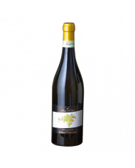 Vini Bianchi  Piasa San Maurizio Moscato d'Asti Canelli DOCG 2022 - Forteto della Luja 11,04&nbsp;€
