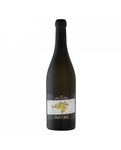 Vini Bianchi  Pasucrà Piemonte Moscato Secco DOC 2024 - Forteto della Luja 11,85&nbsp;€