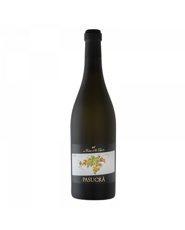 Vini Bianchi  Pasucrà Piemonte Moscato Secco DOC 2024 - Forteto della Luja 11,85&nbsp;€