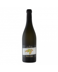 Vini Bianchi  Pasucrà Piemonte Moscato Secco DOC 2024 - Forteto della Luja 11,85&nbsp;€