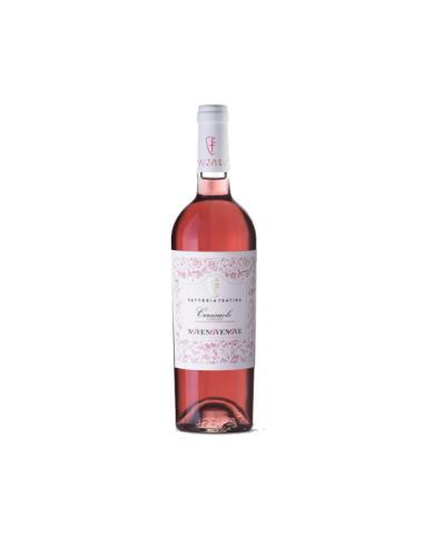 Rosé-Weine  NOVENOVENOVE Cerasuolo D'Abruzzo DOC BIO 2023 - Fattoria Teatina 7,30 €