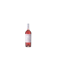 Rosé Wines  NOVENOVENOVE Cerasuolo D'Abruzzo DOC BIO 2023 - Fattoria Teatina 7,30 € Rosé Wines  NOVENOVENOVE Cerasuolo D'Abruzzo DOC BIO 2023 - Fattoria Teatina 7,30 €