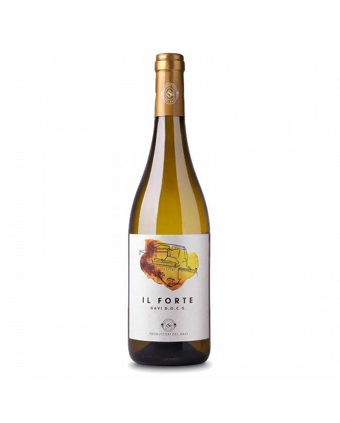 Vini Rossi  Il Forte Gavi DOCG 2021 - Produttori del Gavi 4,87 €