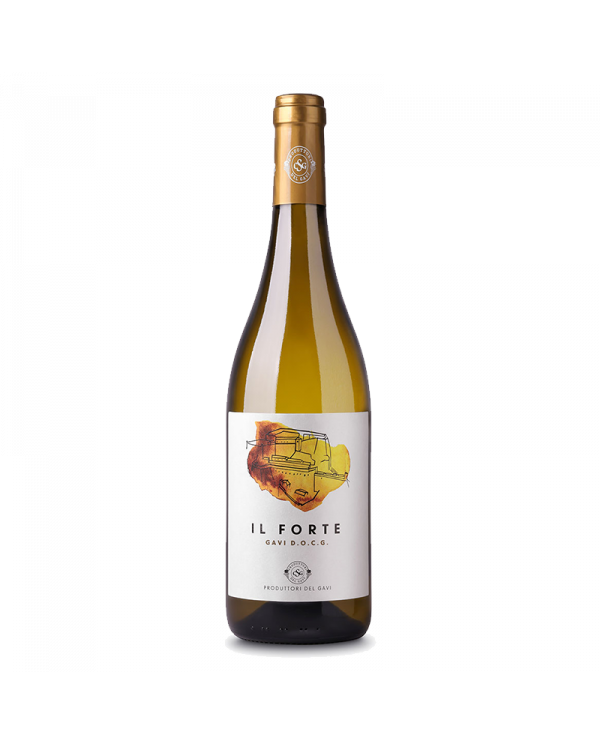 Vini Rossi  Il Forte Gavi DOCG 2021 - Produttori del Gavi 4,87 €