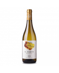 Vini Rossi  Il Forte Gavi DOCG 2021 - Produttori del Gavi 4,87 €