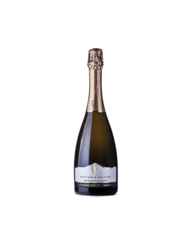 White wines  PURA FOLLIA Spumante di Qualità Brut Metodo Classico - Fattoria Teatina 17,21 € White wines  PURA FOLLIA Spumante di Qualità Brut Metodo Classico - Fattoria Teatina 17,21 €