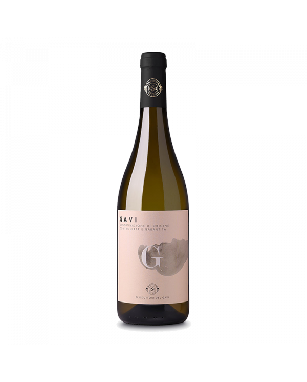 Vini Bianchi  G GAVI DOCG 2020 - Produttori del Gavi 6,56 €