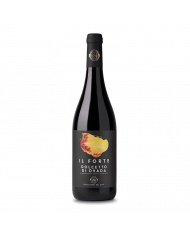 Vini Rossi  Il Forte Dolcetto di Ovada DOC 2020 - Produttori del Gavi 4,94 €