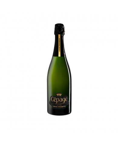 Vini Bianchi  Cépages spumante Metodo Classico Pas Dosè 2013 - Conte Vistarino 36,79 € Vini Bianchi  Cépages spumante Metodo Classico Pas Dosè 2013 - Conte Vistarino 36,79 €