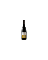 Red Wines  Montepulciano D'Abruzzo DOC 2022 Casarsa - San Michele Arcangelo 6,15 â‚¬ Red Wines  Montepulciano D'Abruzzo DOC 2022 Casarsa - San Michele Arcangelo 6,15 â‚¬