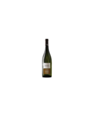 Vini Bianchi  Falanghina IGP Terre di Chieti 2022 Casarsa - San Michele Arcangelo 6,15 â‚¬ Vini Bianchi  Falanghina IGP Terre di Chieti 2022 Casarsa - San Michele Arcangelo 6,15 â‚¬