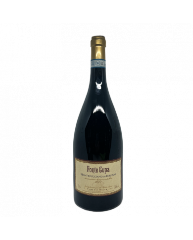 Vini Rossi  Montepulciano d’Abruzzo Colline Teramane DOC 2017 Magnum - Camillo Montori 28,70 €