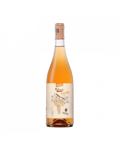 White wines  Spiritus Terrae Malvasia Orange 2021 - Cantina Orsogna 15,16 € White wines  Spiritus Terrae Malvasia Orange 2021 - Cantina Orsogna 15,16 €