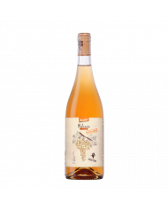 White wines  Spiritus Terrae Malvasia Orange 2021 - Cantina Orsogna 15,16 €