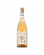 Vini Bianchi  Spiritus Terrae Abruzzo Pecorino DOP 2021 - Cantina Orsogna 14,72 € Vini Bianchi  Spiritus Terrae Abruzzo Pecorino DOP 2021 - Cantina Orsogna 14,72 €