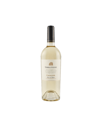 Witte Wijnen  Cococciola Terre di Chieti IGT 2021 - Terra d'Aligi 7,75 â‚¬ Witte Wijnen  Cococciola Terre di Chieti IGT 2021 - Terra d'Aligi 7,75 â‚¬