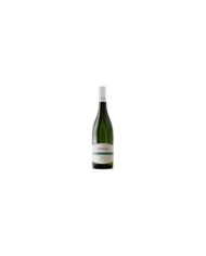 Vini Bianchi  Trave Falanghina IGP Terre di Chieti 2020 - San Michele Arcangelo 4,30 â‚¬ Vini Bianchi  Trave Falanghina IGP Terre di Chieti 2020 - San Michele Arcangelo 4,30 â‚¬