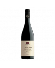 Vini Rossi  Amarone della Valpolicella Classico DOCG 2017 - Righetti 24,08 €