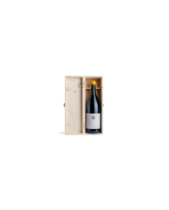 Witte Wijnen  Aries Pecorino Colline Pescaresi IGP 2021 Magnum - Ciavolich 29,51 â‚¬ Witte Wijnen  Aries Pecorino Colline Pescaresi IGP 2021 Magnum - Ciavolich 29,51 â‚¬