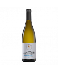 White wines  Passerina Terre di Chieti IGT 2022 Bio - Cascina del Colle 8,52 â‚¬ White wines  Passerina Terre di Chieti IGT 2022 Bio - Cascina del Colle 8,52 â‚¬