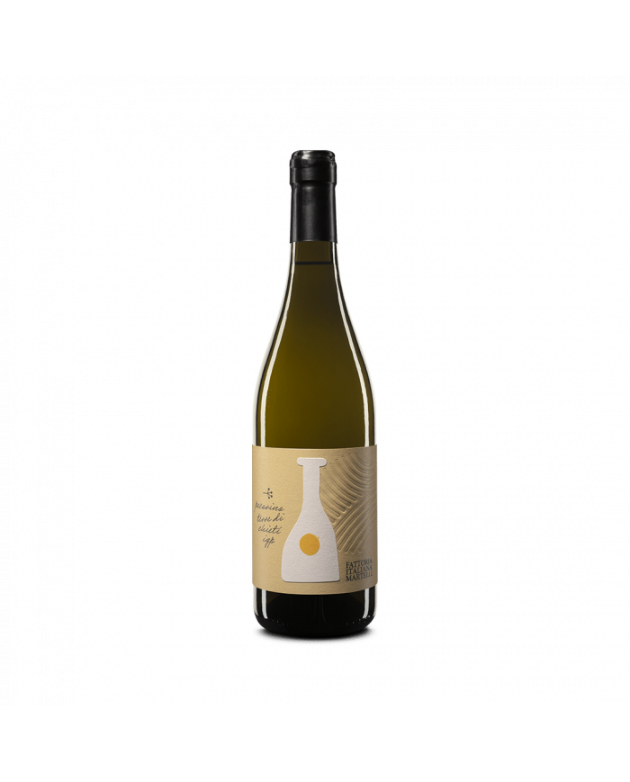 White wines  Pecorino Terre di Chieti IGP 2021 - Fattoria Italiana Martelli 7,79 €