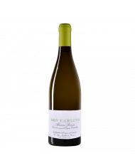 Vini Bianchi  Don Carlino Pecorino Abruzzo DOC 2023 - De Fermo 20,41 €