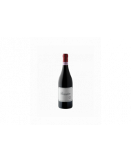 Red Wines  Sacrantino 2019 - Sagrantino di Montefalco DOCG - Cantina Fratelli Pardi 29,40 €