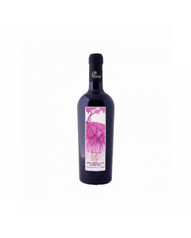 Rode wijnen  Filì - Montepulciano D'Abruzzo DOC 2016 - La Vinarte 21,00 â‚¬ Rode wijnen  Filì - Montepulciano D'Abruzzo DOC 2016 - La Vinarte 21,00 â‚¬