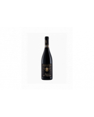 Red Wines  Amarone Vigna Garzon DOCG 2018 - Pieropan 51,45 €