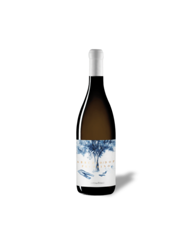 White wines  Pecorino Abruzzo Dop 2020 - Cantina Tollo 13,34 €