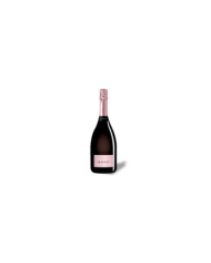 Rosé Wines  Rosè Spumante Metodo Classico - Cantina Tollo 11,72 €
