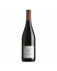 Vini Rossi  Montepulciano d'Abruzzo DOC 2021 - Valle Reale 18,12 €