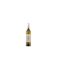 Vini Bianchi  Cococciola Terre diChieti IGT 2023 Rue di Piane - Spinelli 3,95 â‚¬ Vini Bianchi  Cococciola Terre diChieti IGT 2023 Rue di Piane - Spinelli 3,95 â‚¬