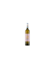 Vini Bianchi  Falanghina Terre di Chieti IGT 2023 Rue di Piane - Spinelli 3,95 â‚¬ Vini Bianchi  Falanghina Terre di Chieti IGT 2023 Rue di Piane - Spinelli 3,95 â‚¬