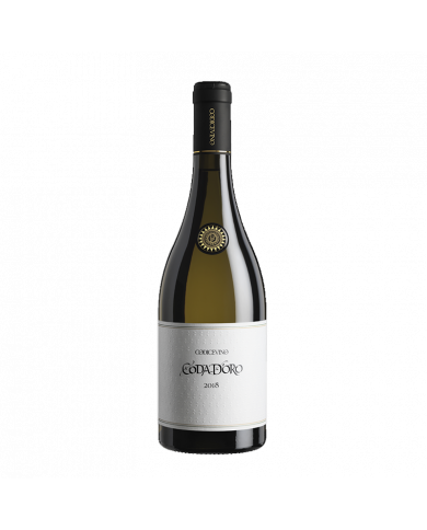 Witte Wijnen  Coda D’Oro Passerina Superiore DOC 2019 Magnum - Codice Vino 37,80 â‚¬ Witte Wijnen  Coda D’Oro Passerina Superiore DOC 2019 Magnum - Codice Vino 37,80 â‚¬