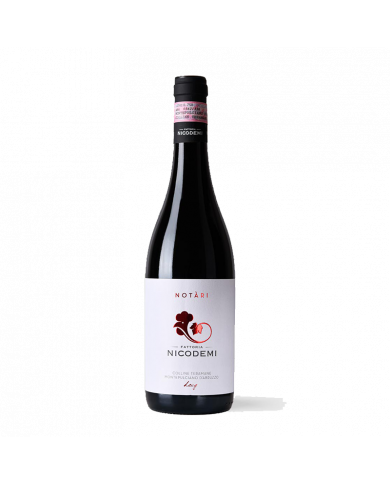 Rode wijnen  NOTARI Colline Teramane Montepulciano D’Abruzzo DOCG 2019 Magnum - Nicodemi 36,07 â‚¬ Rode wijnen  NOTARI Colline Teramane Montepulciano D’Abruzzo DOCG 2019 Magnum - Nicodemi 36,07 â‚¬