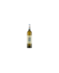 Vini Bianchi  Pecorino Terre di Chieti IGT 2023 Rue di Piane - Spinelli 3,95 â‚¬ Vini Bianchi  Pecorino Terre di Chieti IGT 2023 Rue di Piane - Spinelli 3,95 â‚¬